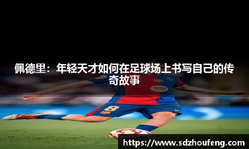 bsports官网入口